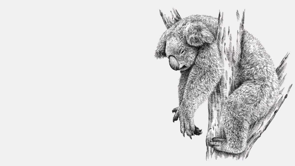Fermat's Library on Twitter: "Koalas sleep up to 22 hours a day. In