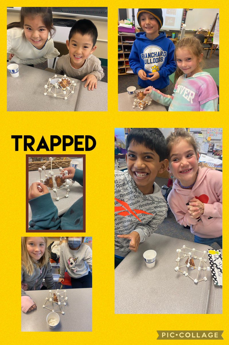 mrslbulldogs's tweet image. A Turkey-rrric STEAM challenge just in time! Student partners had to design and build ( and redesign) a “trap” for turkeys! Such engagement ! @BlanchardMem #AllwelcomED