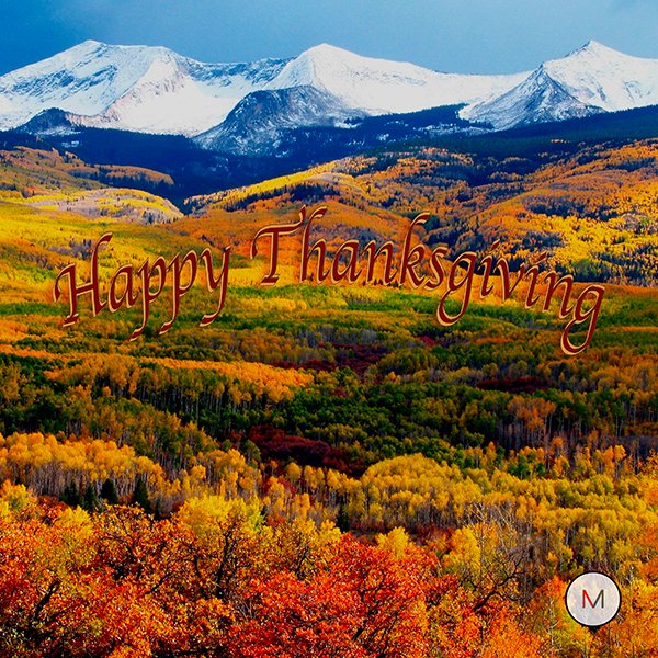 Happy Thanksgiving from everyone at the Miick team, we wish you and yours a Happy Holiday!!! We are grateful to have you in our Community. 🍁🍂🍁
#thanksgiving2022 #grateful #miick