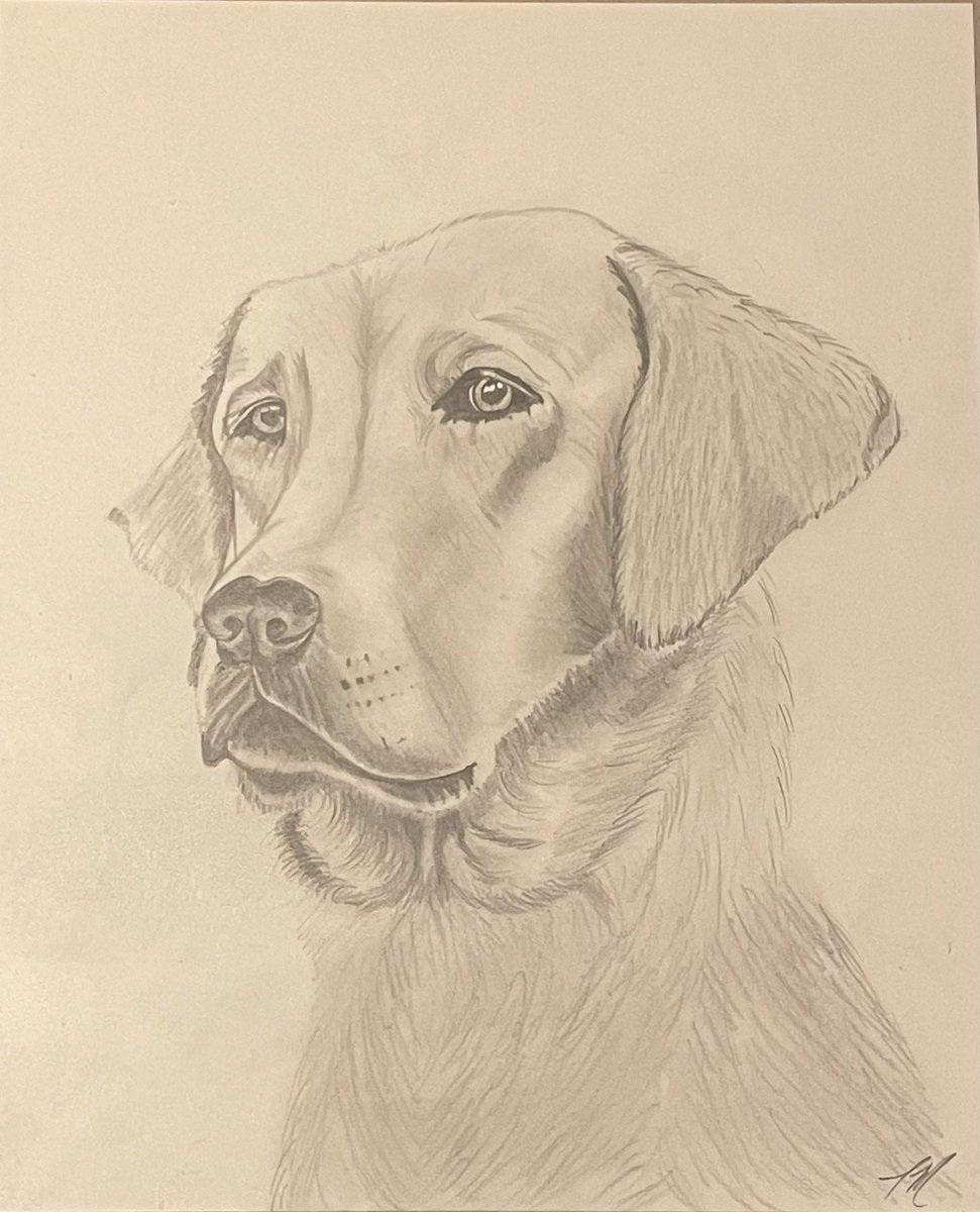 GCoppersmith's tweet photo. 10/10 would recommend if you want a quality pet portrait!! https://t.co/ypi1gJJUMX