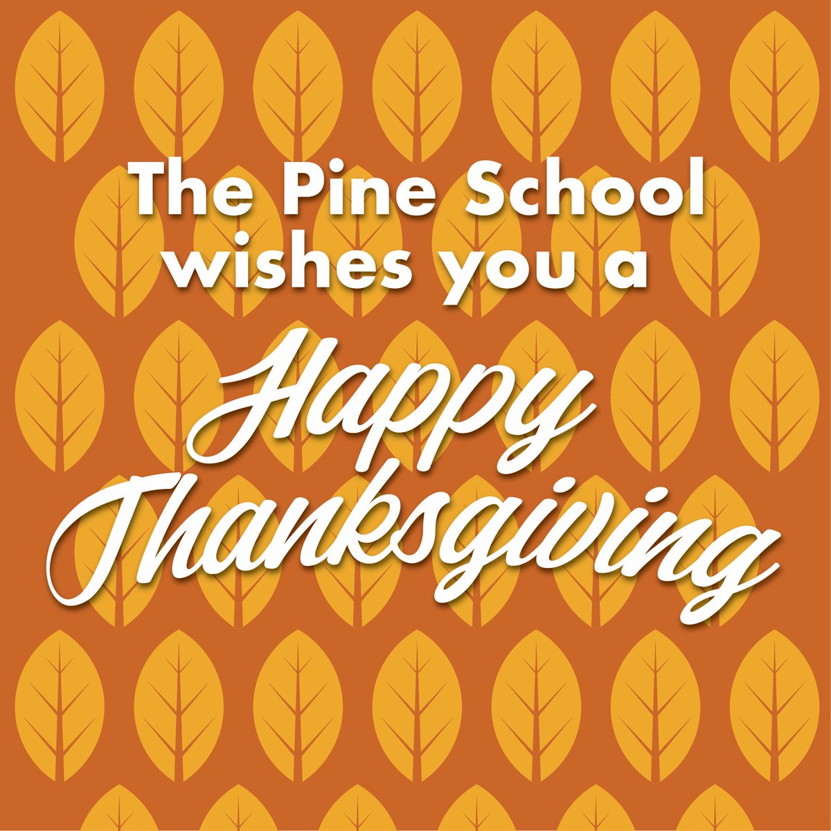 ThePineSchool's tweet photo. #PineSchool #PineCommunity https://t.co/26FVlRG5cS