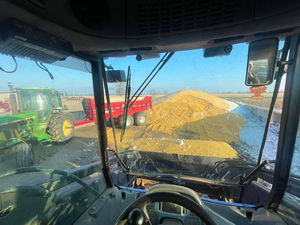 Dungannon_Dan's tweet photo. How it started. How it’s going. 
#corn22 🌽 https://t.co/DMOh7y7Chy