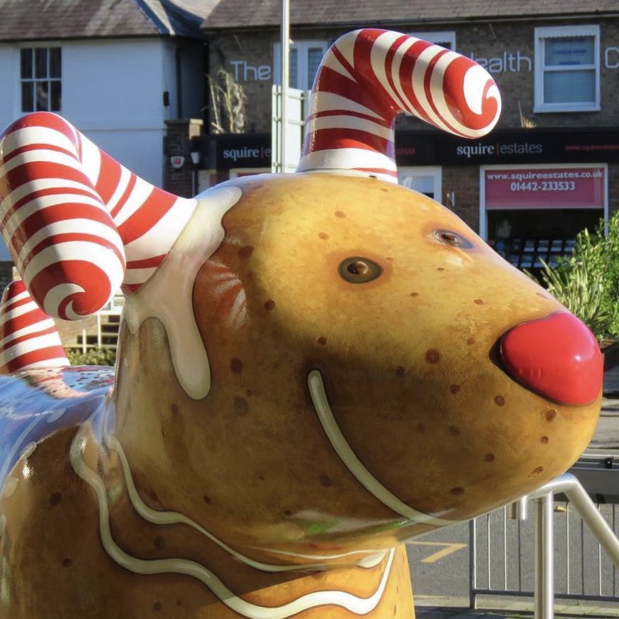 Our Snowdogs out and about in Hemel Hempstead! Have you spotted them all yet? ❄️🐾

Amazing pictures by <a href="/steelcitysnaps/">Dave: The Steel City Snapper</a> 📷

#snowdogarttrails #wildinart #snowdog #snowdogs #christmas #arttrail