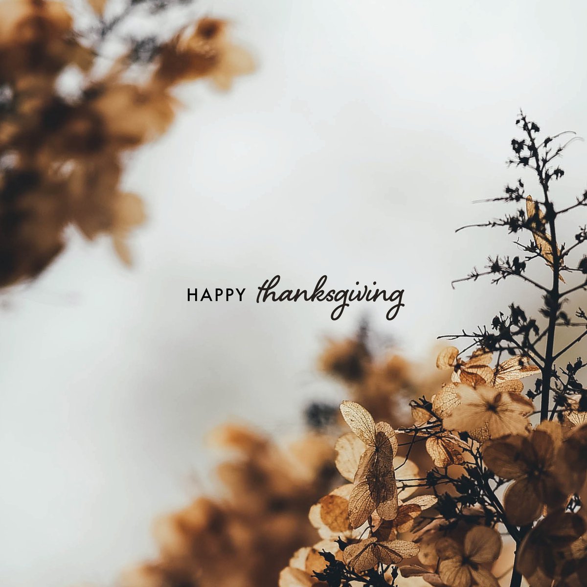 Happy Thanksgiving from Christ Presbyterian Church 🤎