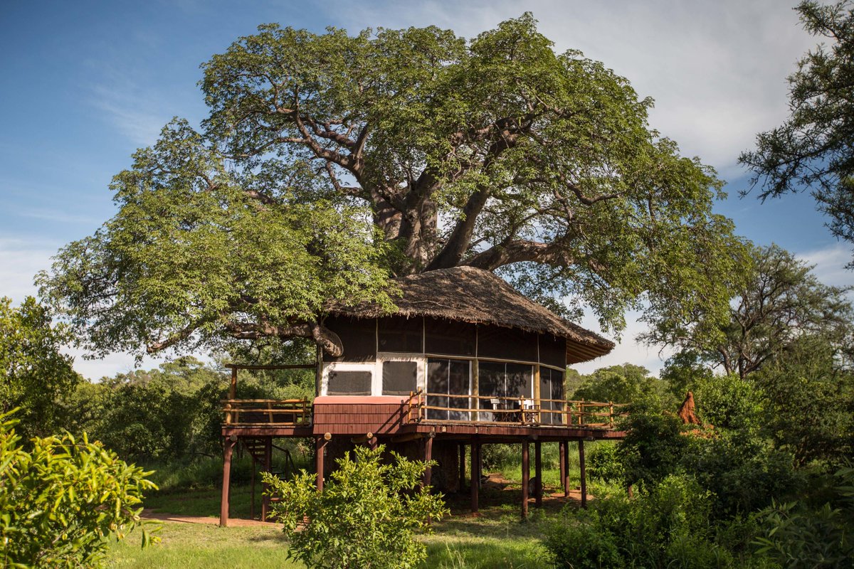 Elevated 'treehouse' suites perched high up with views over the adjacent #baobab and #marula trees, giving #ElewanaTarangireTreetops an adventurous and exotic feel. 📸 @elewana #Vayenitravel #dmc #luxurytravel #tarangire #ElewanaCollection #ElewanaMoments #Tanzania #travel