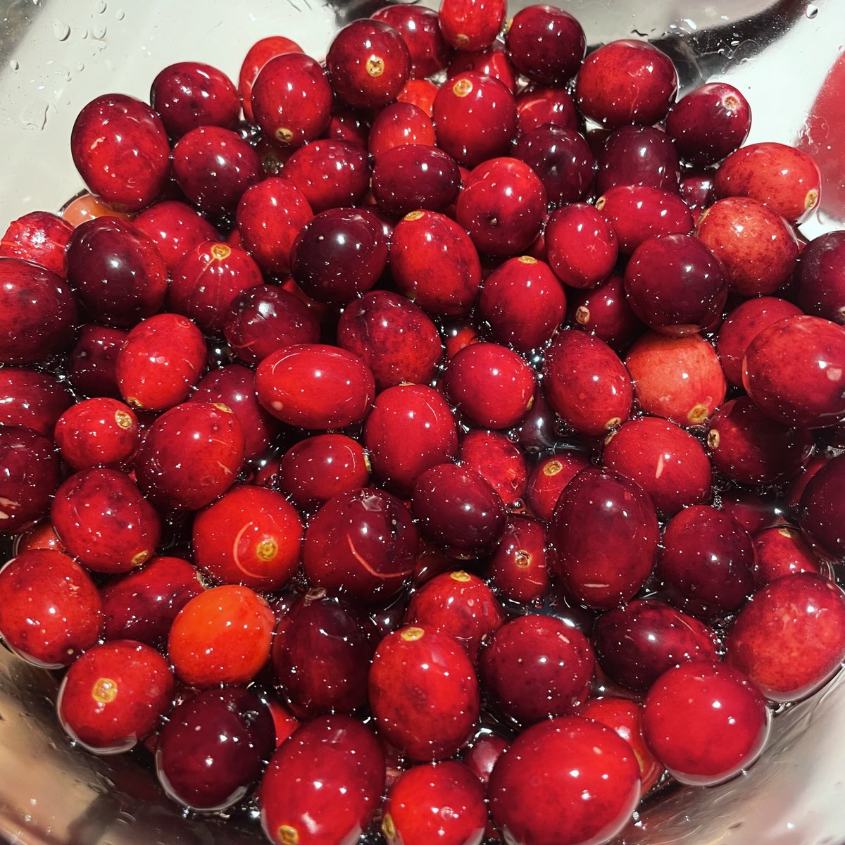 Karl @stolley@hachyderm.io tweet media