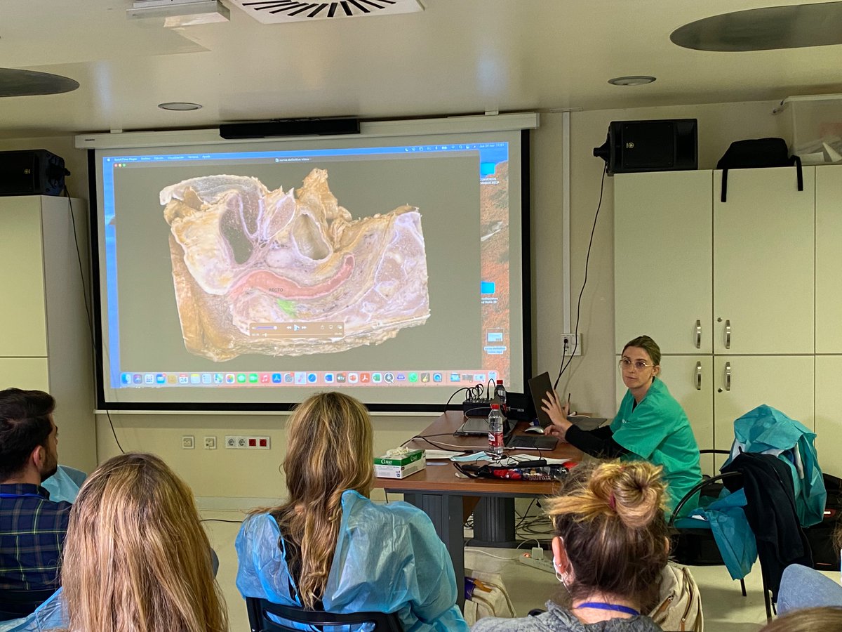 David Moro-Valdezate (@davidmoro78) on Twitter photo Un honor poder colaborar con el XV CURSO de ANATOMÍA APLICADA
a las TÉCNICAS QUIRÚRGICAS en COLOPROCTOLOGÍA
<a href="/MariaGausi/">𝐄𝐊-𝟒𝟕.eth</a> <a href="/VicentePlaMarti/">Vicente Pla Marti</a> <a href="/roigvila/">José Vicente Roig</a> <a href="/JuanGarcaArmen1/">Juan García Armengol</a> <a href="/ClinicoUcp/">UCP Hospital Clínico Valencia</a> Un honor poder colaborar con el XV CURSO de ANATOMÍA APLICADA
a las TÉCNICAS QUIRÚRGICAS en COLOPROCTOLOGÍA
<a href="/MariaGausi/">𝐄𝐊-𝟒𝟕.eth</a> <a href="/VicentePlaMarti/">Vicente Pla Marti</a> <a href="/roigvila/">José Vicente Roig</a> <a href="/JuanGarcaArmen1/">Juan García Armengol</a> <a href="/ClinicoUcp/">UCP Hospital Clínico Valencia</a>