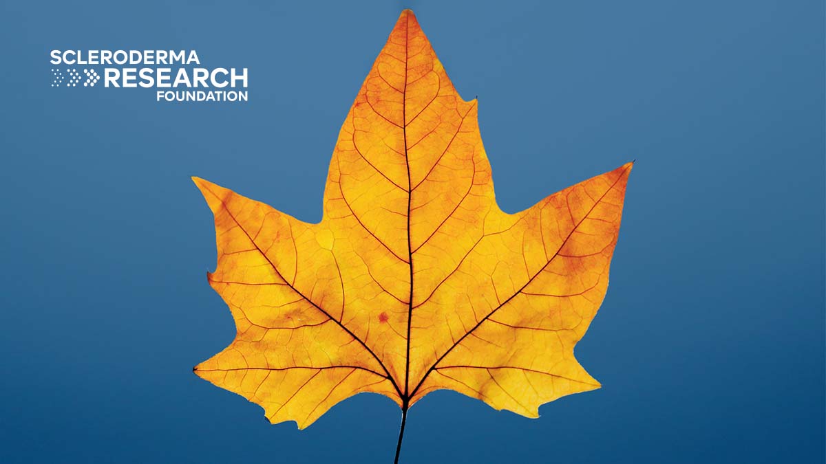 srfcure's tweet photo. We're grateful for YOU! Thank you for being part of this incredible community and for joining us in the search for a cure. Together, we can and will end scleroderma. #scleroderma #sayscleroderma #thankful #gratitude #srfcure https://t.co/AopFuiDHiz