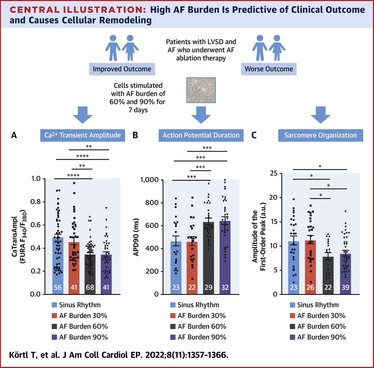 JACCJournals's tweet photo. Higher #AFib burdens were associated with impaired patient outcomes in the #CASTLEAF trial. Read how Drs. Thomas Körtl, @SamuelSossalla, &amp; team discovered that clinical findings translated to changes at the cellular level. https://t.co/9xYNtsbTL8

#JACCCEP #EPeeps #CardioTwitter https://t.co/74rkHoil0q