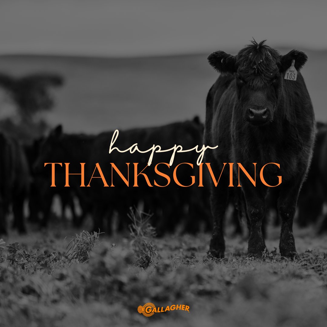 Happy #thanksgiving