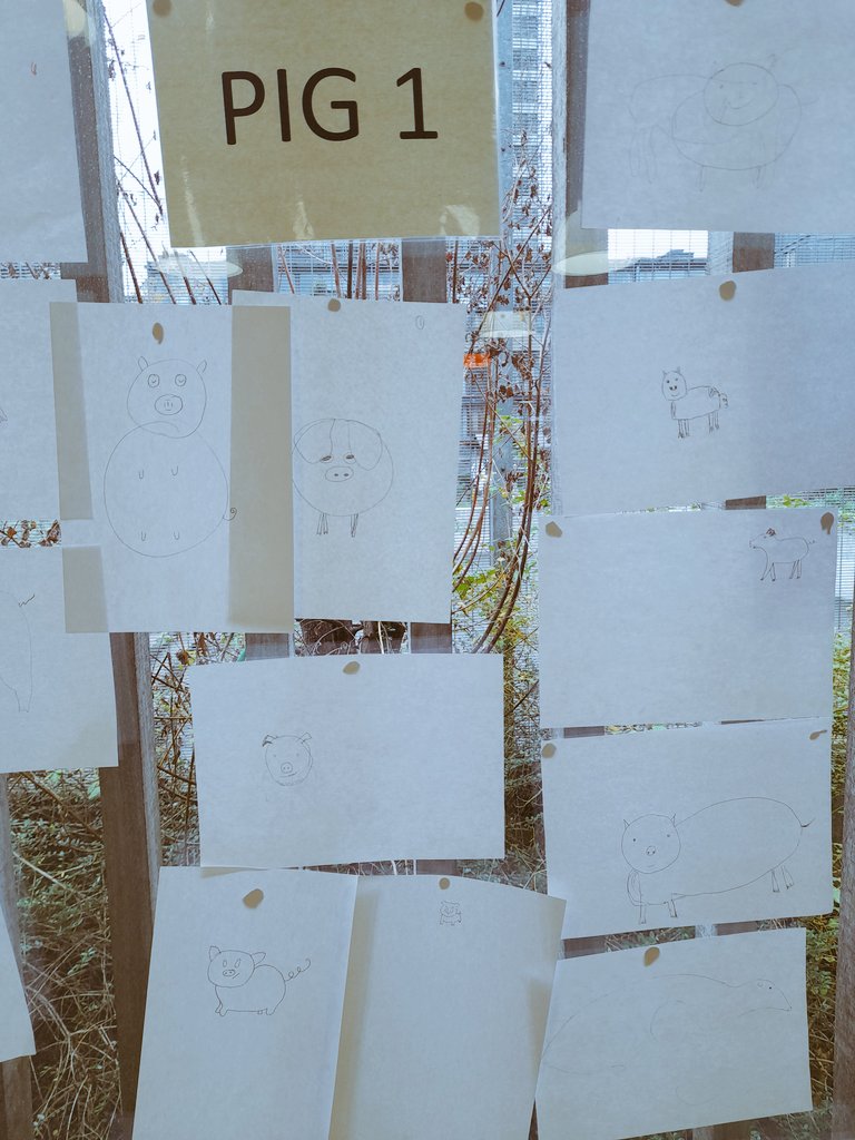 EmmaQI10's tweet photo. Process standard work piggy style #QITwitter which little piggy is the best versus which little piggy is consistent? #qilearning @SLAM_QI #qitools #leansigmasix https://t.co/4VQt8jMnzM