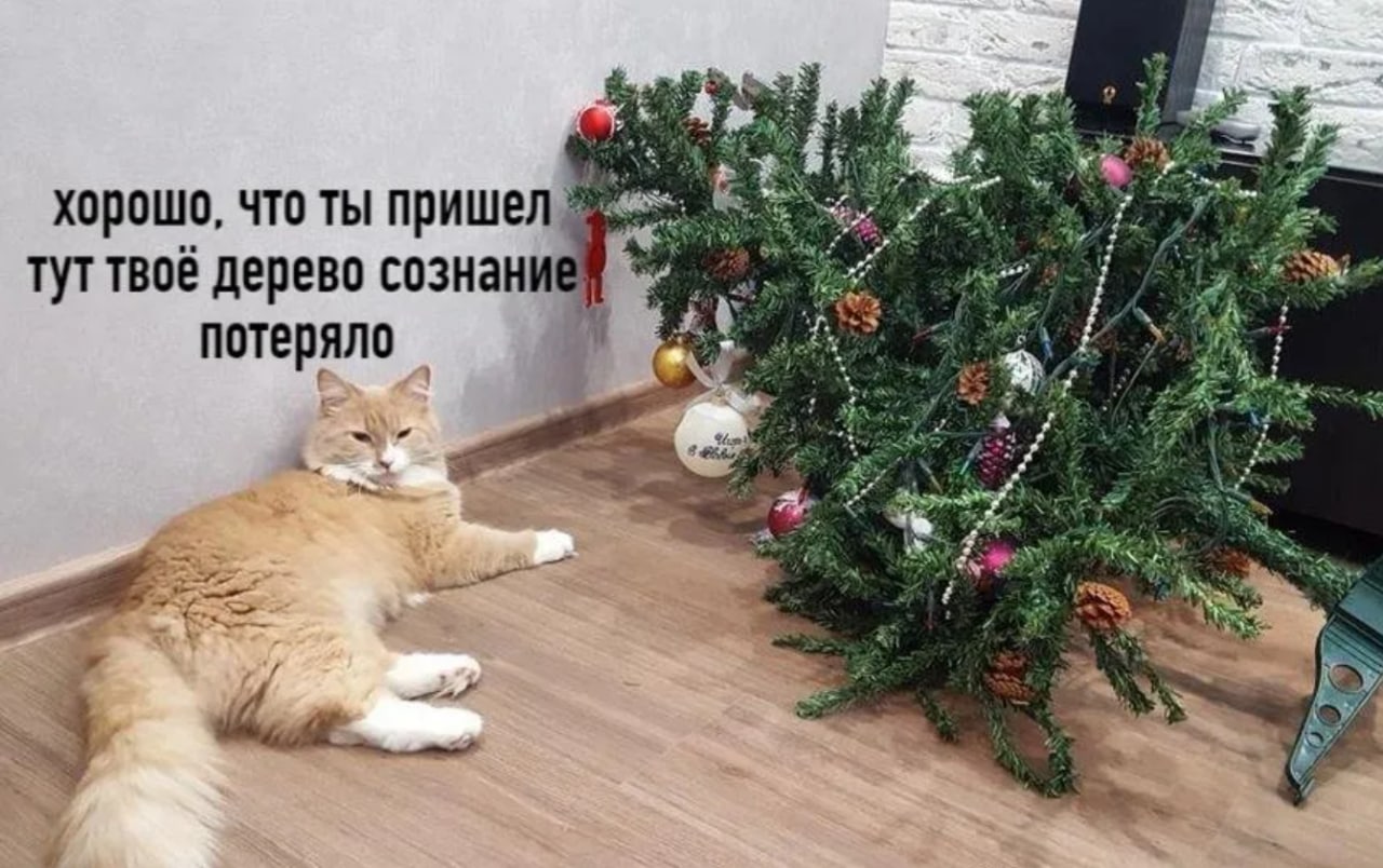 Ронял елку