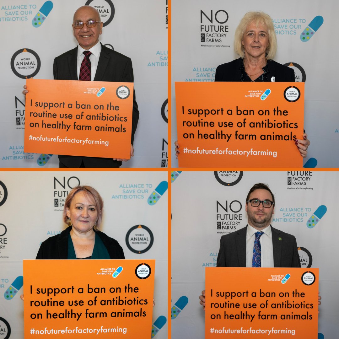World Animal Protection UK On Twitter A Huge Thank You To All Of world-animal-protection-uk-on-twitter-a-huge-thank-you-to-all-of