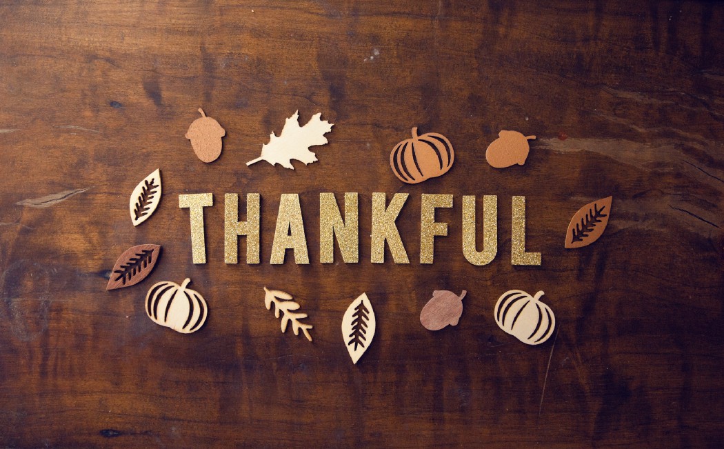 tigerflowllc's tweet photo. TIGERFLOW will be closed today, and tomorrow, so our team can spend some much deserved time with their families! We will be back to work Monday morning!
https://t.co/cjIfX2RAdx https://t.co/brrHLxINjp