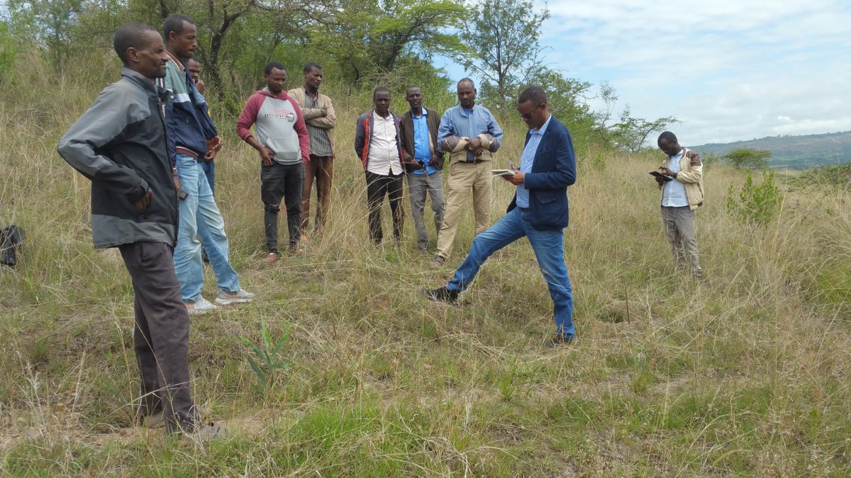 Global Network of Lighthouse Farms tweet media