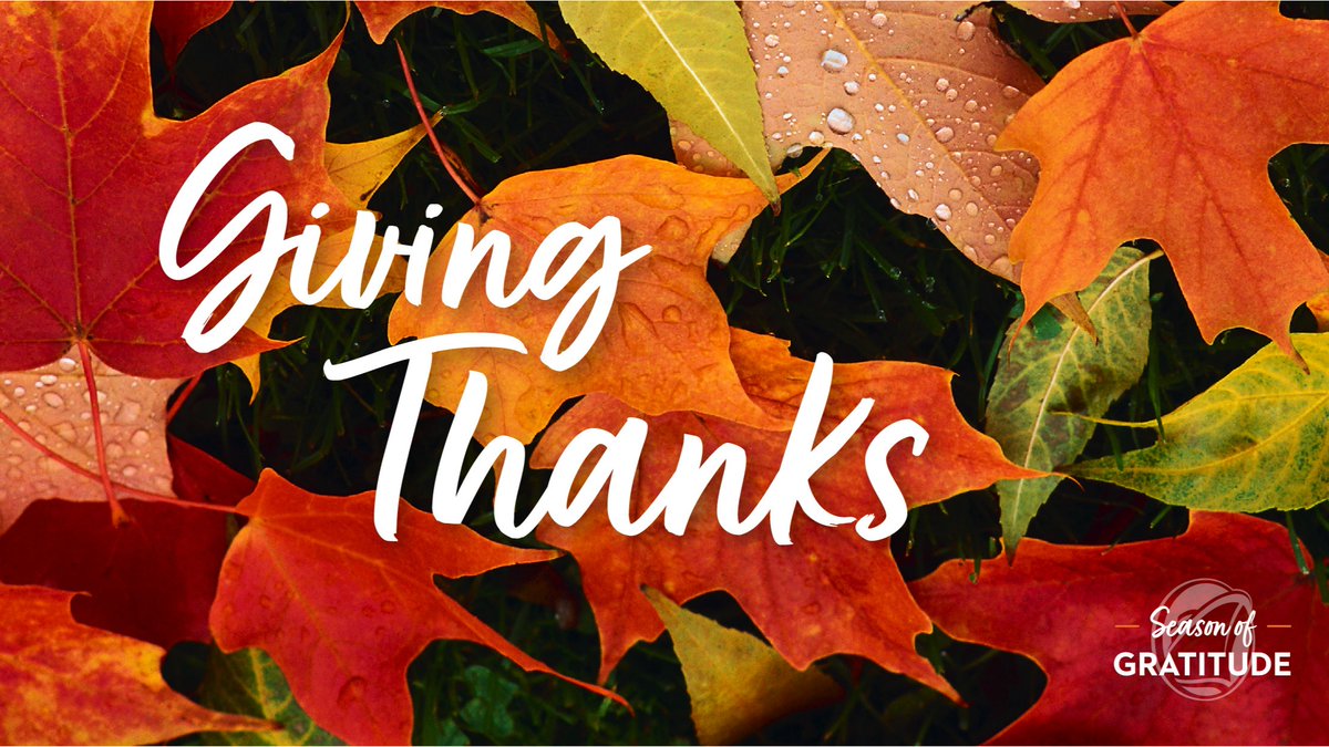 From our table to yours, Happy Thanksgiving from all of us at #HollandAmerica. We appreciate you! #HALAttitudeofGratitude #HALPartnerSHIPS