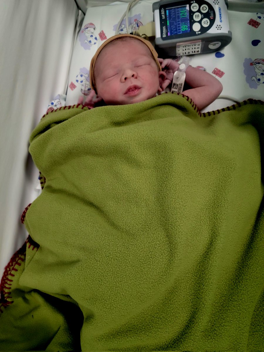 Eleonora Anna Giorgi tweet media