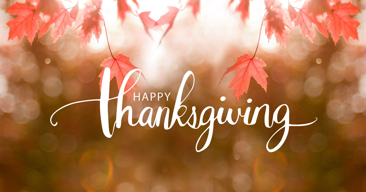 Turf Teq tweet media