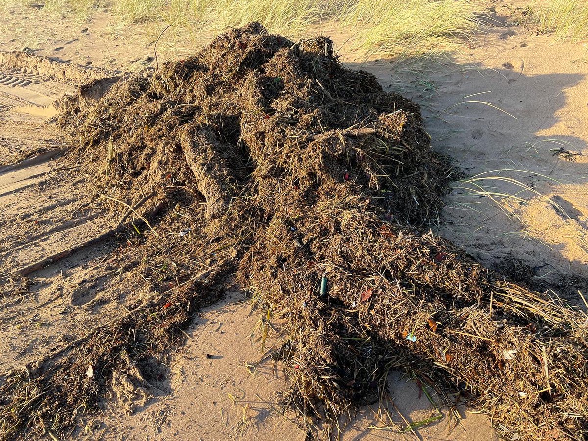 TTPTnortheast's tweet photo. The biomedia clean-up started early this morning, the high tide line was raked by hand into piles for the tractor to scoop up and into a trailer for removal.
#cleanup #beachclean #coastalcleanup #biomedia #filtration #sewagetreatmentplant #egcp #ttpt #scottishwater https://t.co/Xcqeg1qvuv