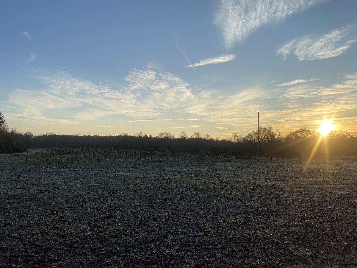 TheByrdofPrey's tweet photo. Happy Thanksgiving Y’all! I’m on the #dove field this morning. Not seeing a lot, but I’m truly thankful for #family #friends and #freedom!Anybody else #hunting this morning? #dove #deer #rabbit #Thanksgiving2022 #sunrise #sunrisephotography #HEX #Hexicans #PulseChain #hunt https://t.co/bN9KMmRGvp