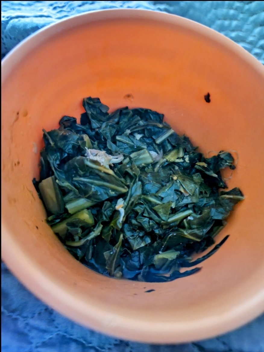 jurnnie's tweet photo. Dippin in that pot this mornin...ssh...tastes like my Mama's!
#Mmgood #Collards https://t.co/g8gQfxeASd