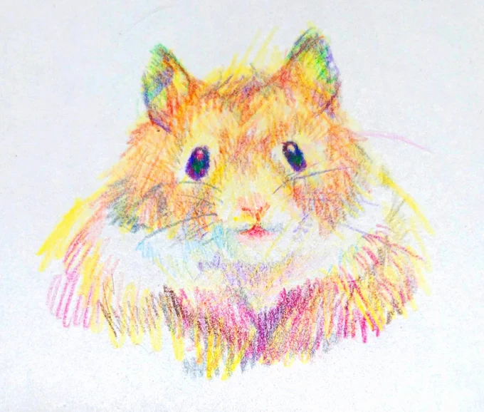 描きました 