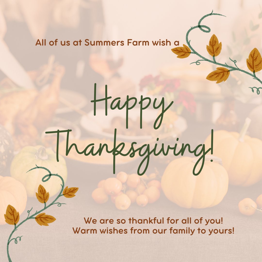 SummersFarm's tweet image. From our family to yours, Happy Thanksgiving!