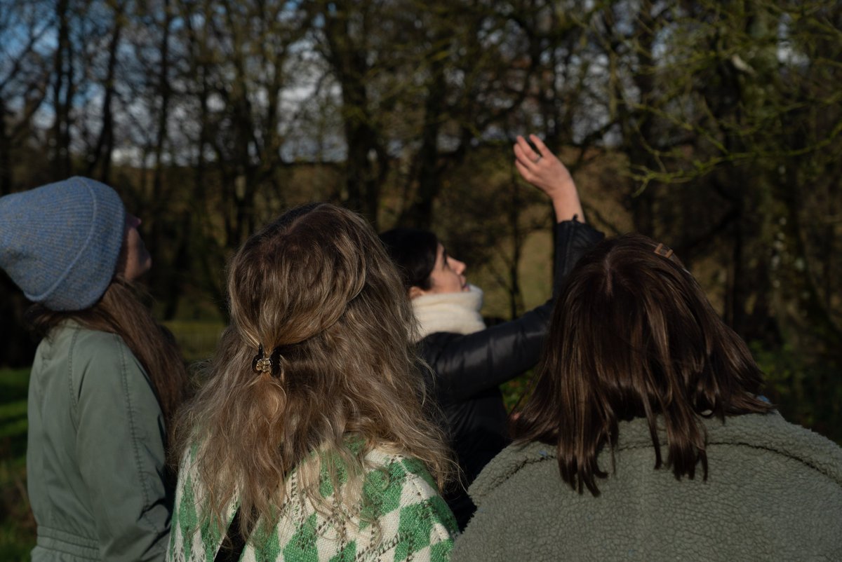 cample_line's tweet image. Thanks so much to Sarah Jane Scouten for such an insightful herb walk/talk last Sunday – so much to look at and learn in the space of a few yards down our lane. 🌿💚

 #HerbWalk #SarahJaneScouten #CampleLine #DumfriesAndGalloway #ScottishHerbs
