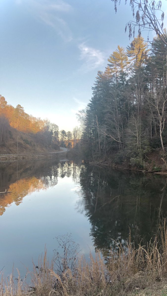 Dana Blake Scopa tweet media