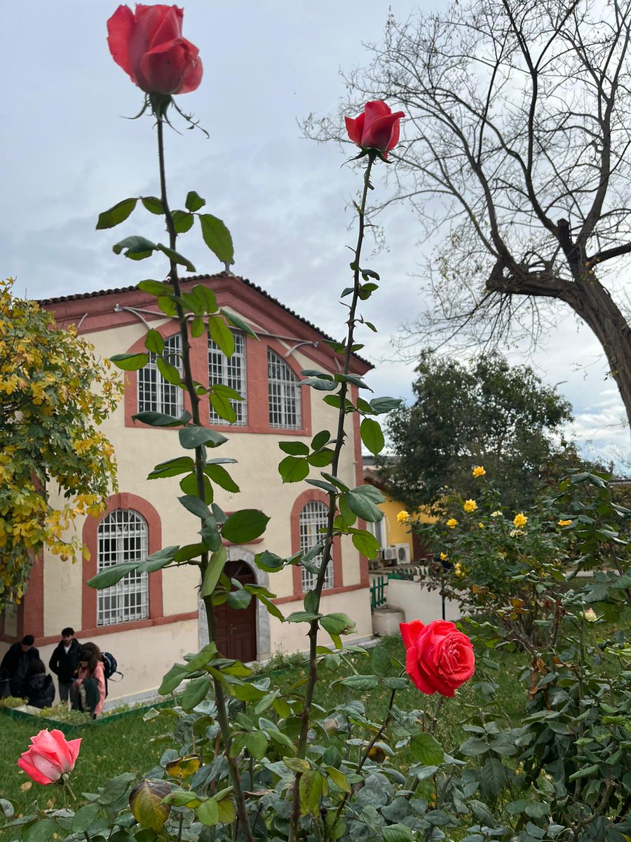 Bilimin ışığından sapmayan, araştıran ve sorgulayan, öğrencileri tarafından herdaim güzel anımsanan tüm öğretmenlerin #24KasımÖğretmenlerGünü kutlu olsun.💐