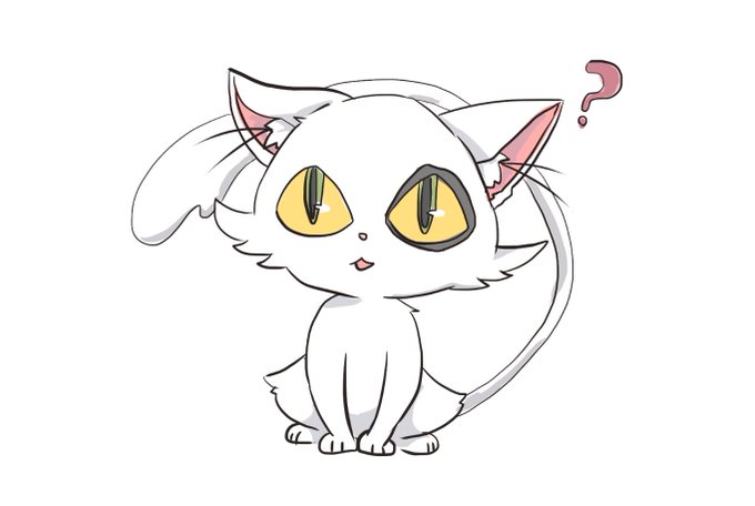 「白い猫 黄色眼」のTwitter画像/イラスト(新着)｜2ページ目
