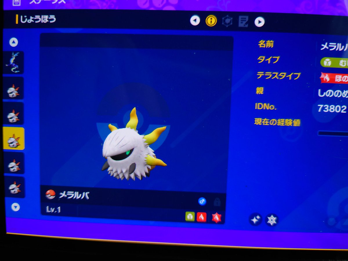 Sin0ch0c0's tweet photo. タマゴ厳選してたら天然6Vの色違いメラルバ生まれたんやけど笑笑

5v親同���で
確率23万分の1…!！ https://t.co/vrR2ztjnjc