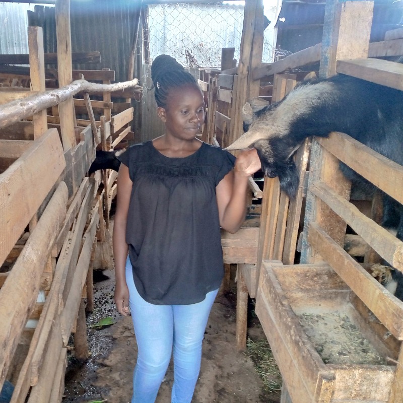 bbcworldservice's tweet photo. Meet Samuel Ikua, #BBCFoodChain’s Global Youth Champion.
The 29-year-old from Kenya has one mission: to teach urban farming to people living in deprived areas.
Kenya’s population has doubled in the last two decades. Samuel says - let's use the land for food, not building.