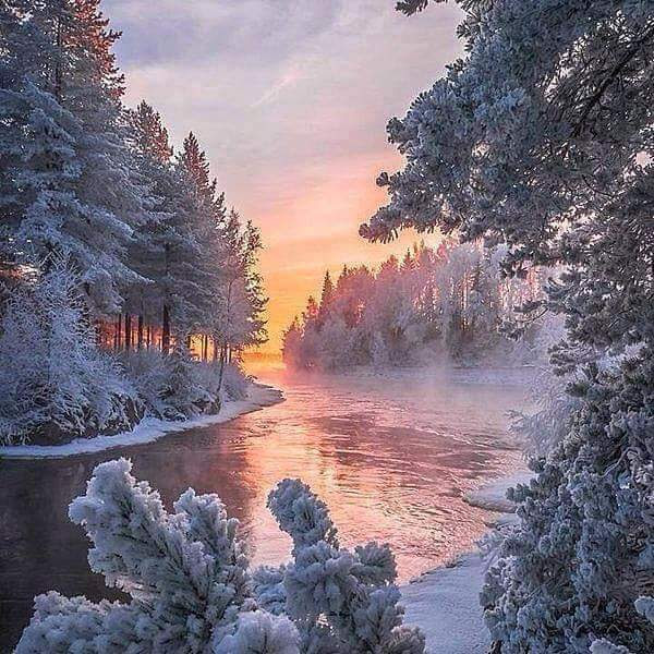 Happy Thanksgiving Everyone