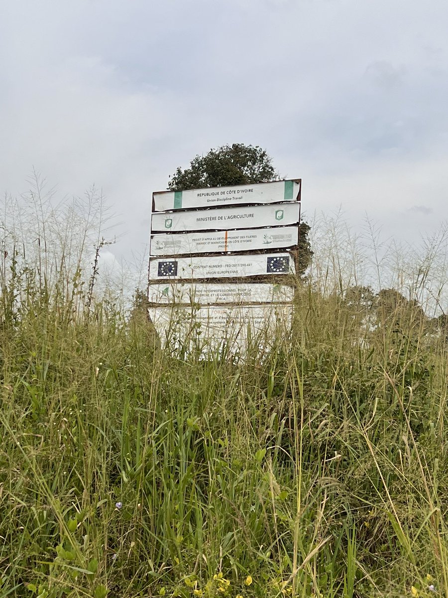 francescaDM_EU's tweet photo. 1e étape Yamoussoukro: projet MARIGO, via le programme UE #Desira, qui accompagne les agriculteurs dans l’agro-écologie. Lutte biologique intégrée + irrigation efficiente + paillage + rotation des cultures = agri durable et autonomie alimentaire. @Gouvci @Cirad @EU_Partnerships https://t.co/Z2ybjZ9Y4l
