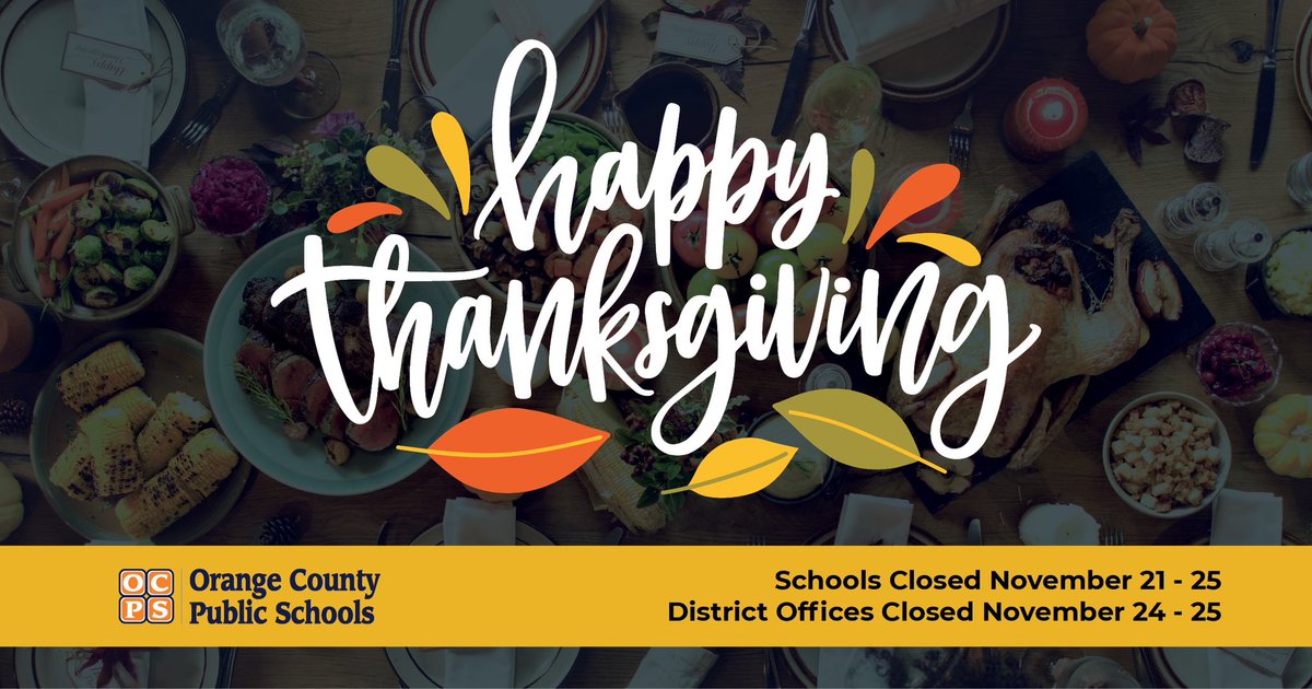Happy Thanksgiving, Sea Lions!🦭🦃🥧