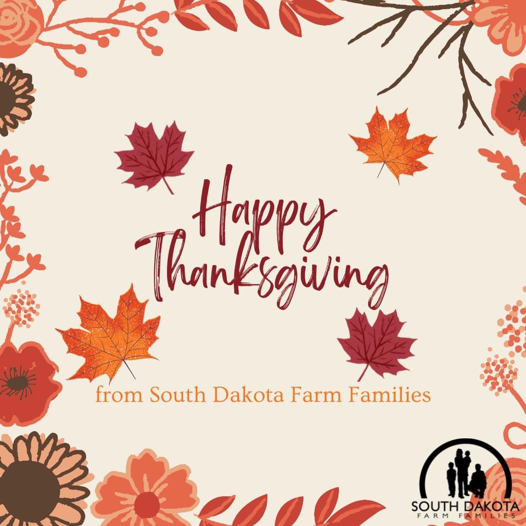 Happy Thanksgiving! 🦃