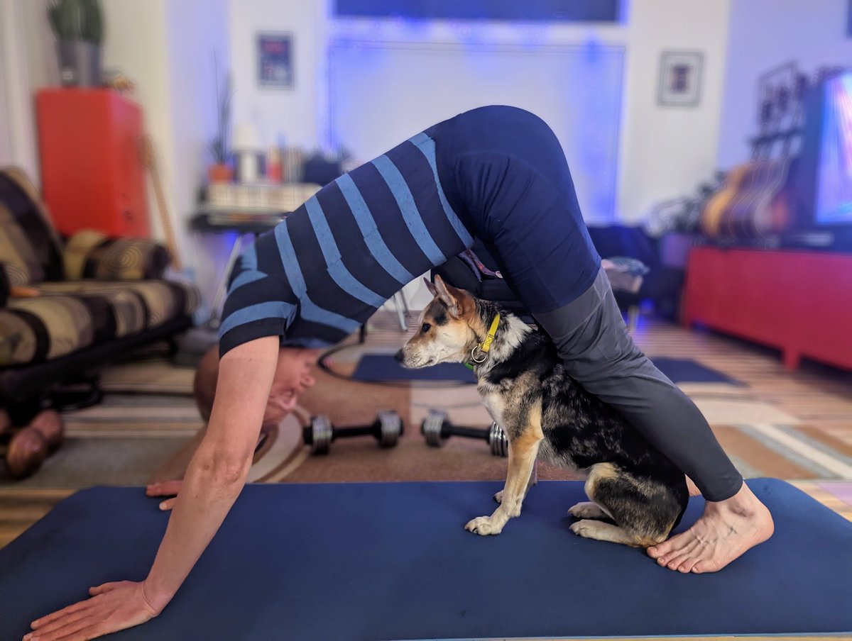 worldblee's tweet photo. #Thankful for my workout buddy. https://t.co/z5PJUlxUfj