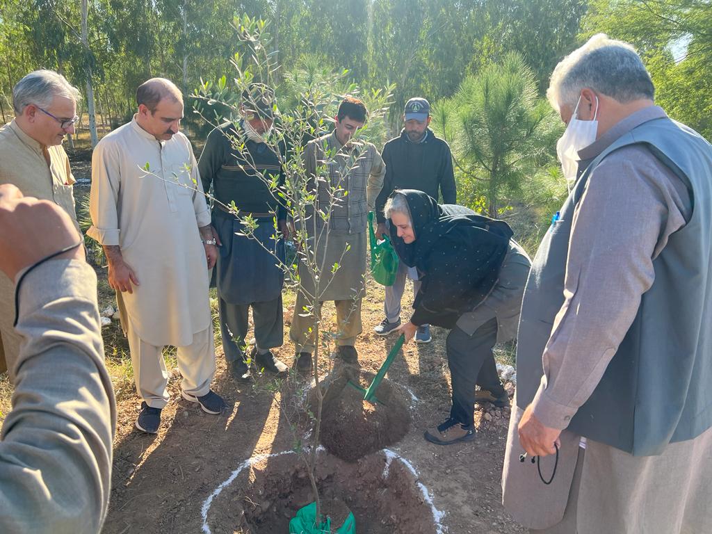FEWDKPGovt's tweet photo. Miss Silvia, consultant of KFW Project visited Garhi Chandan plantation and Army Range Afforestation sites of Peshawar Forest Division on Nov 24th. Efforts of the Forest Deptt in raising and maintaining such huge plantations were highly appreciated by all. 
#KPForest
#10BTTP https://t.co/9smfdTPwZB