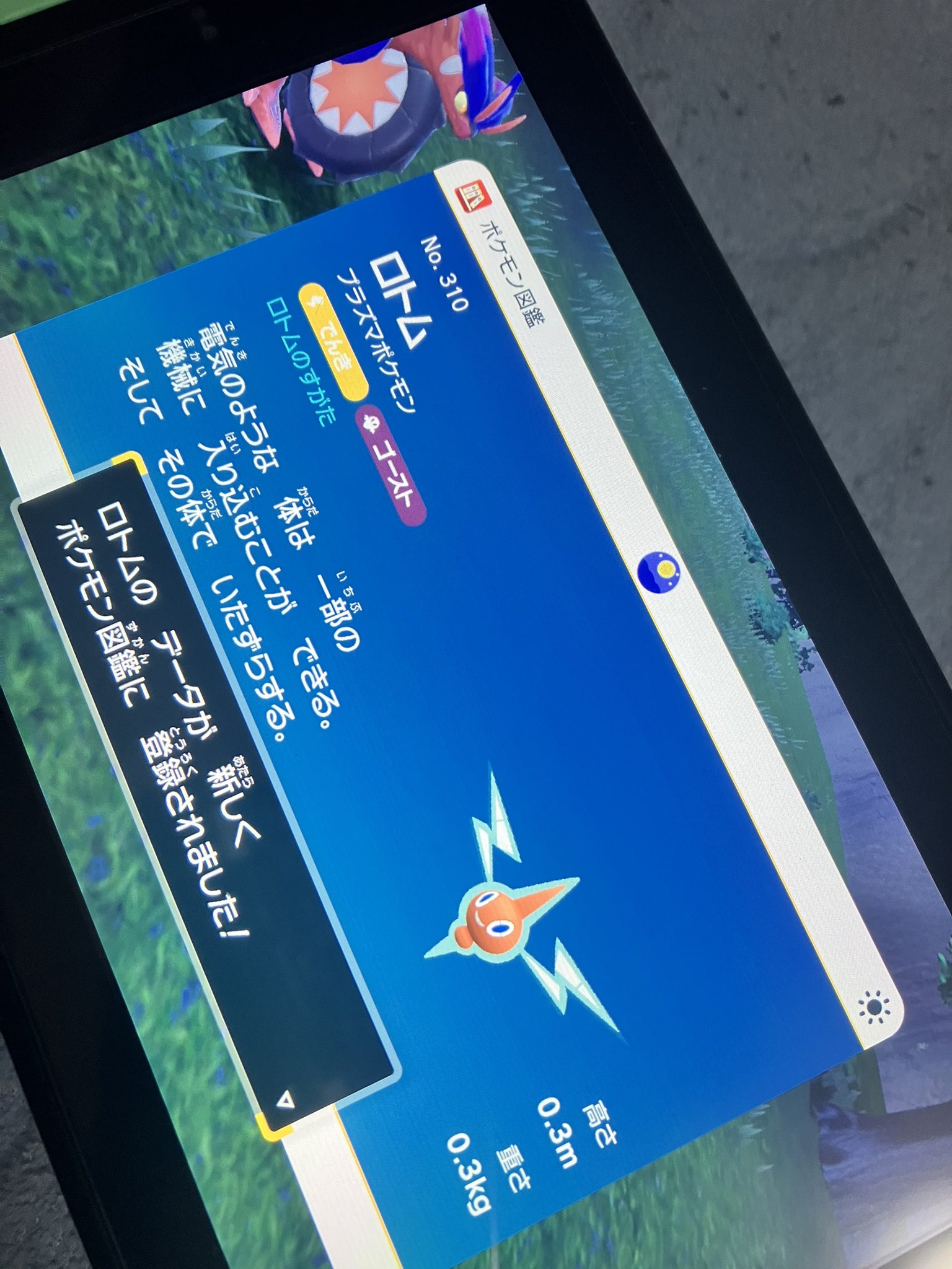カニくりーむ Sumartgame00 Twitter