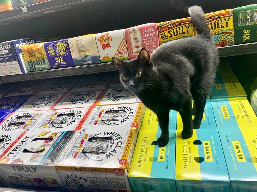 Bodegacats_'s tweet photo. https://t.co/0yR7amYyWi