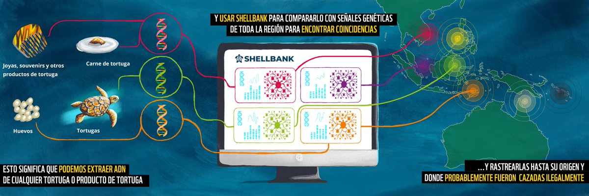 WWF Perú tweet media