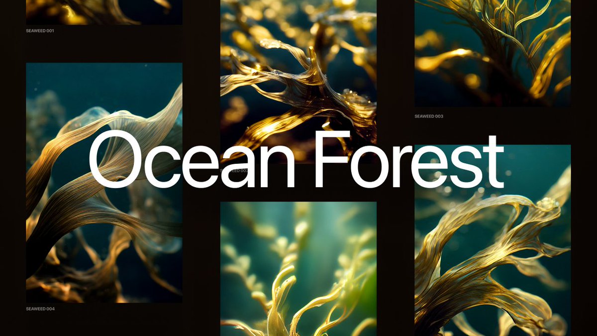 Dennys Hess tweet media