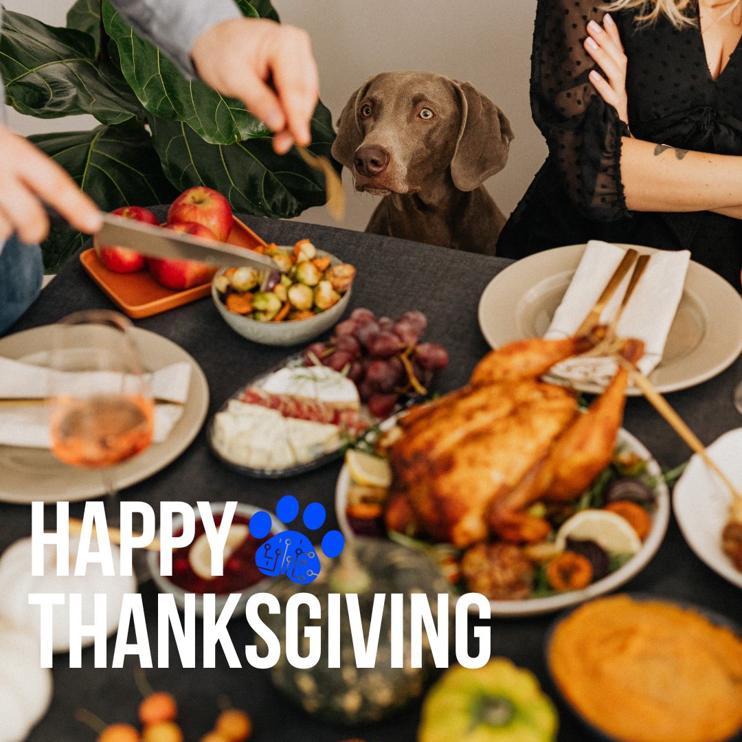Happy Thanksgiving from the team at Interplay!

We are so thankful for everyone who helped and supported us reach our Kickstarter goal this year!

What are you thankful for?

#thanksgiving #thankful