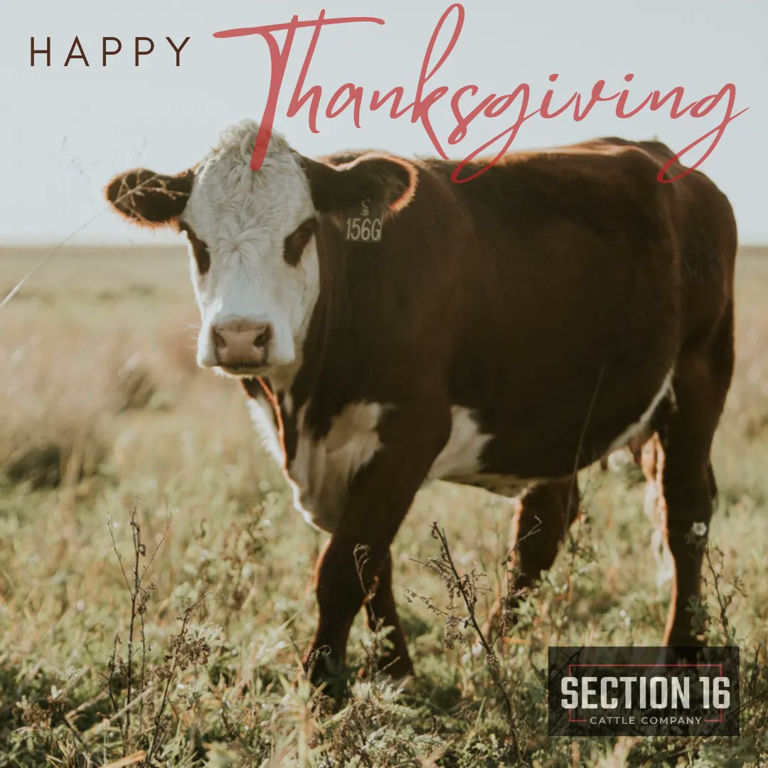 We have so much to be grateful for this holiday season, Happy Thanksgiving from all of us at Section 16!