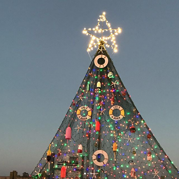 franklintdc's tweet photo. Looking for things to do in #apalachicola, #carrabelle, #stgeorgeisland #alligatorpoint or #eastpointfl? Here's a list of upcoming events! 🎄 ✨  https://t.co/eLAIpwx7Jd 
📸 IG @-cricket98 https://t.co/tihktYazcE