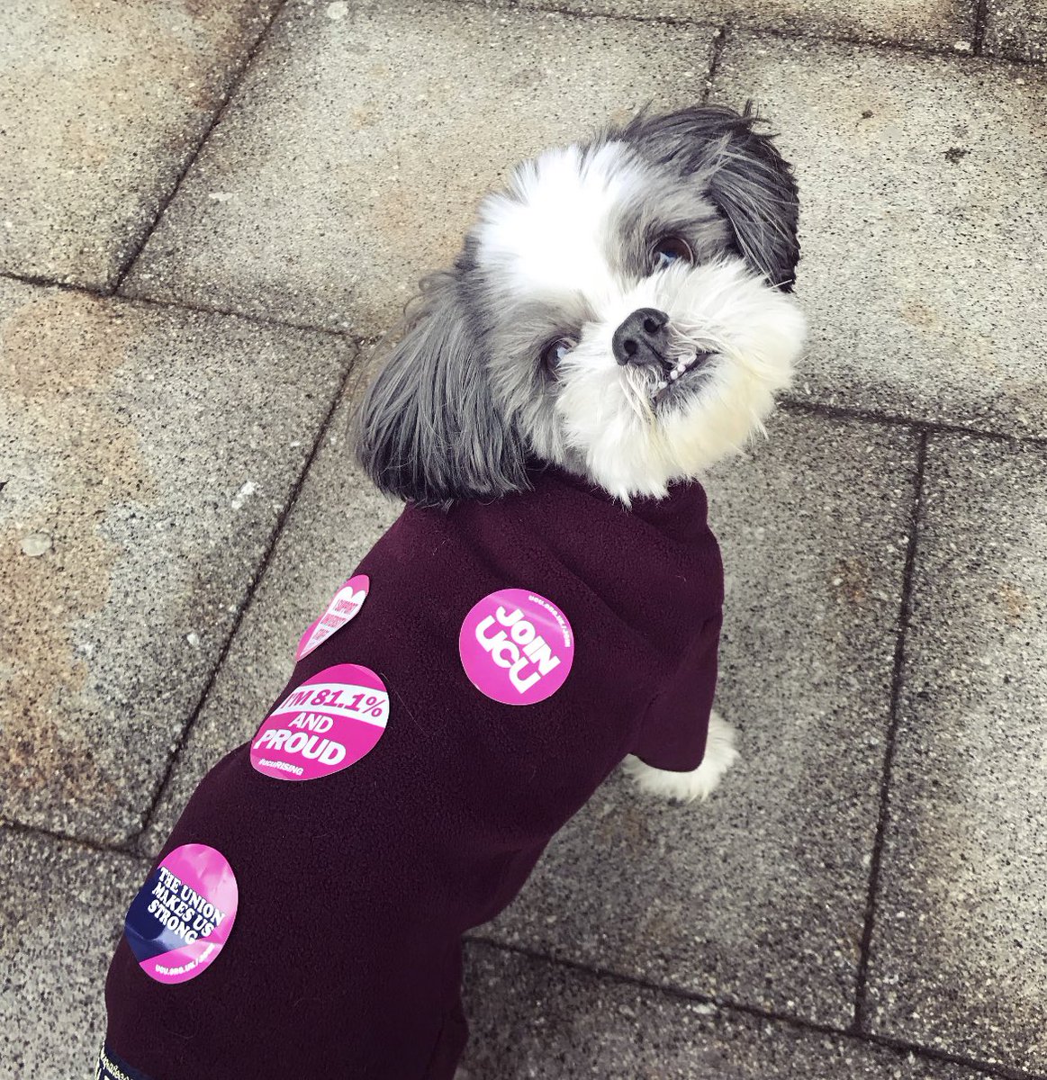 DrJoGrady's tweet photo. Spotted in Sunderland 👀 

UCU and proud 💓

#ucuRISING https://t.co/4bgTxWXXW8