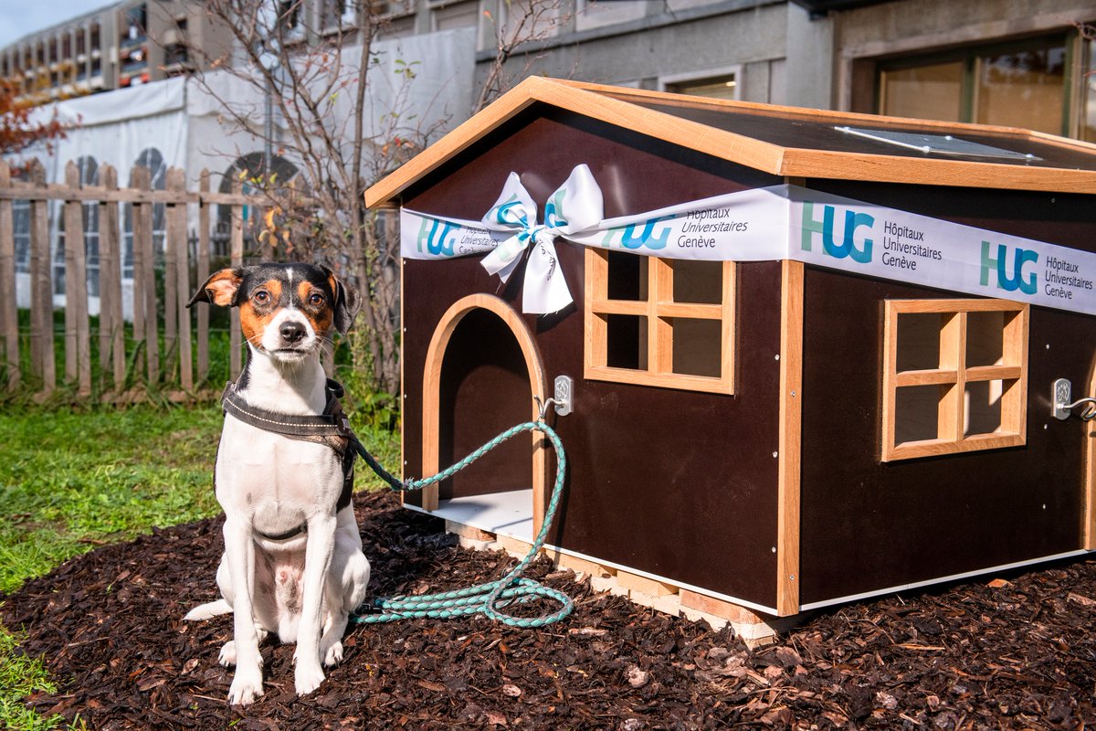 A l’occasion de son 10e anniversaire, un jeune genevois a fait un don afin d'installer une niche pour #chien à l’entrée principale de l’hôpital. Elle peut accueillir jusqu'à deux chiens le temps d'une consultation ou d'une visite à l'hôpital #TousSolidaires #genève