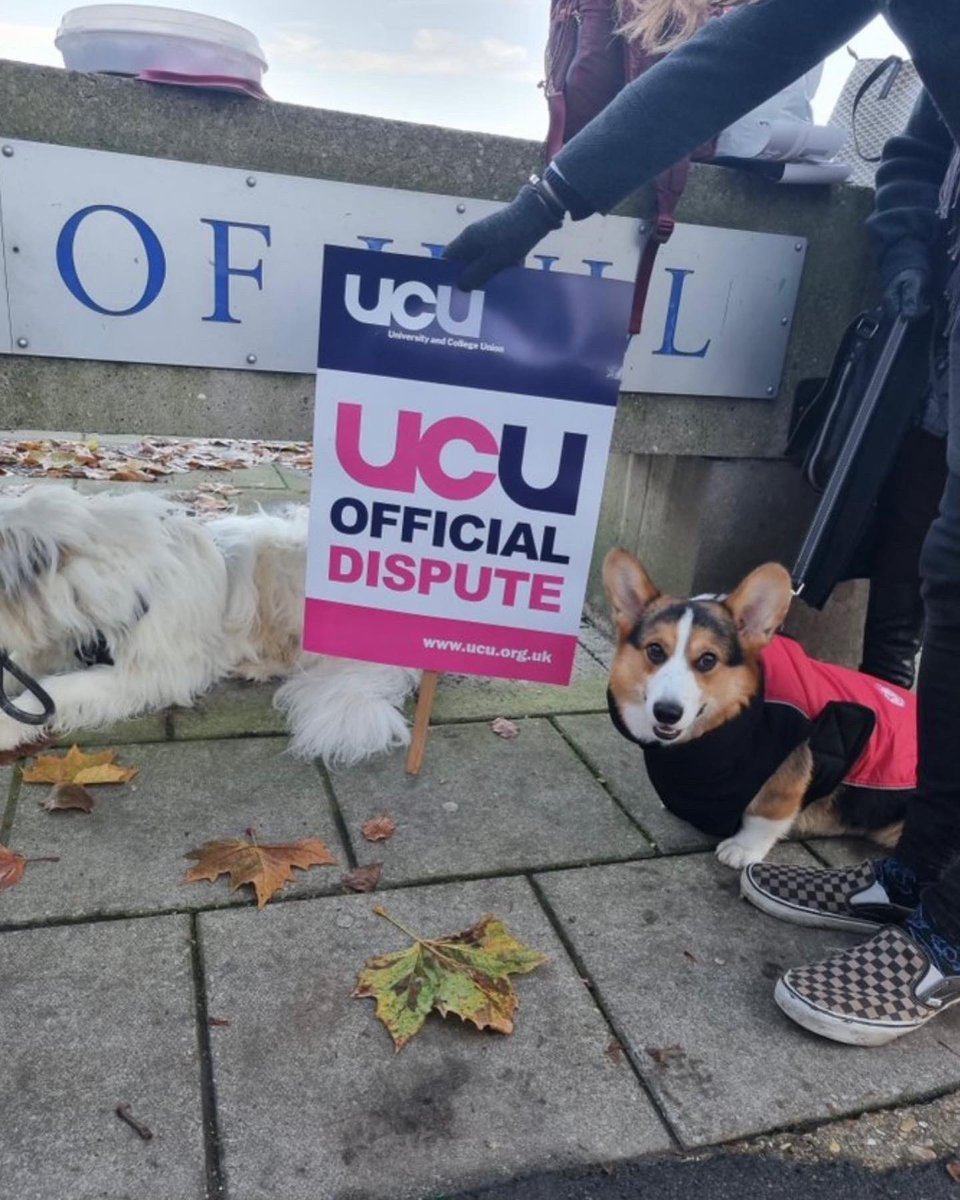 Just a few picket pups from today 🐶

REPLY to this tweet with dogs and any other animals on your picket line today 👇

#ucuRISING