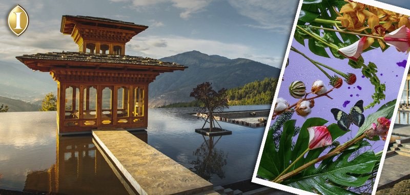 CoinOnMoon's tweet photo. Hotel Giant announces privileges for luxury travel with #NFT 🏯

The new InterContinental Hotels &amp; Resorts collection consists of 10 exclusive #NFTs inspired by the beauty of traveling around the world using natural flora and fauna. 

1:3 https://t.co/3akGR8Z4Pe